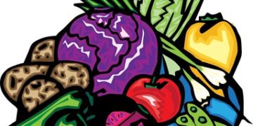 Magnesium ein essenzielles Mineral für die Gesundheit