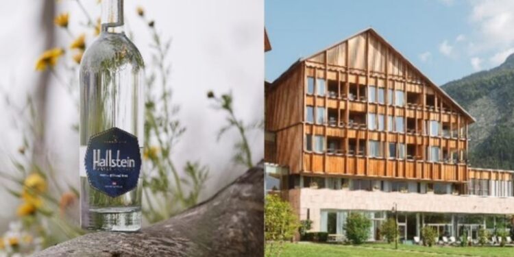 MAYRLIFE & Hallstein Wasser: Longevity und reines Quellwasser