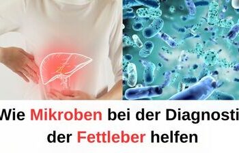Wie Mikroben bei der Diagnostik der Fettleber helfen