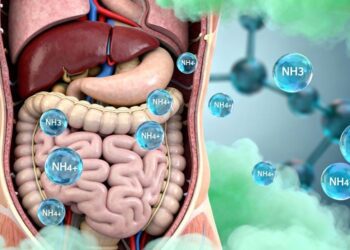 Ammonium und Ammoniak - lange unterschätzte Gefahr für Gehirn und Gesundheit