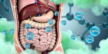 Ammonium und Ammoniak - lange unterschätzte Gefahr für Gehirn und Gesundheit