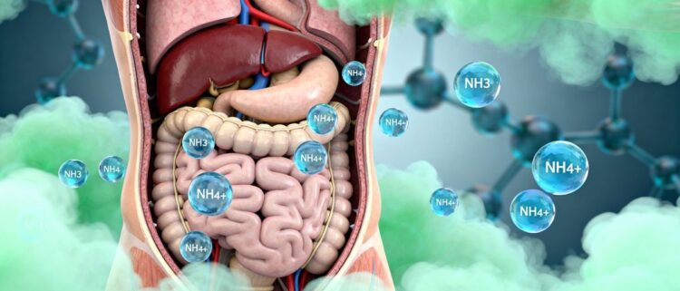 Ammonium und Ammoniak - lange unterschätzte Gefahr für Gehirn und Gesundheit