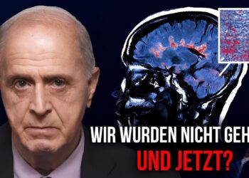 Einfluss von Nanoplastik auf den menschlichen Körper