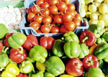 Internationaler Konsensbericht fordert Neuausrichtung der globalen Gesundheitsstrategie