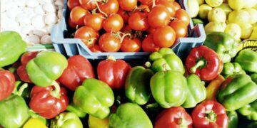 Internationaler Konsensbericht fordert Neuausrichtung der globalen Gesundheitsstrategie