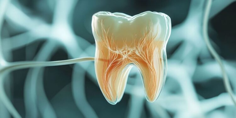 Neue Zahncremes gegen Parodontitis im Fokus