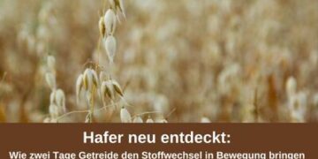 Hafer neu entdeckt: Wie zwei Tage Getreide den Stoffwechsel in Bewegung bringen